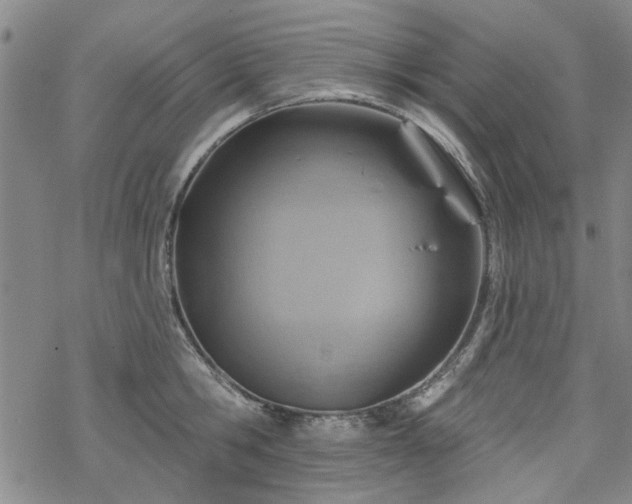 X0000068820806200605051209