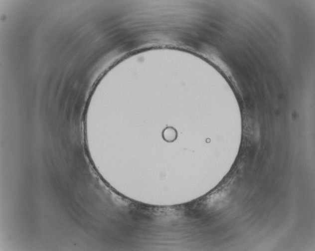 X0000068820807200605051209