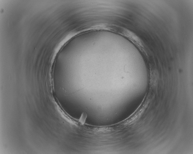 X0000068820808200605051209