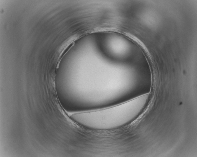 X0000068820809200605051209