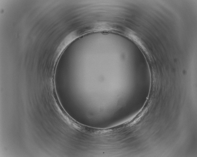 X0000068820810200605051209