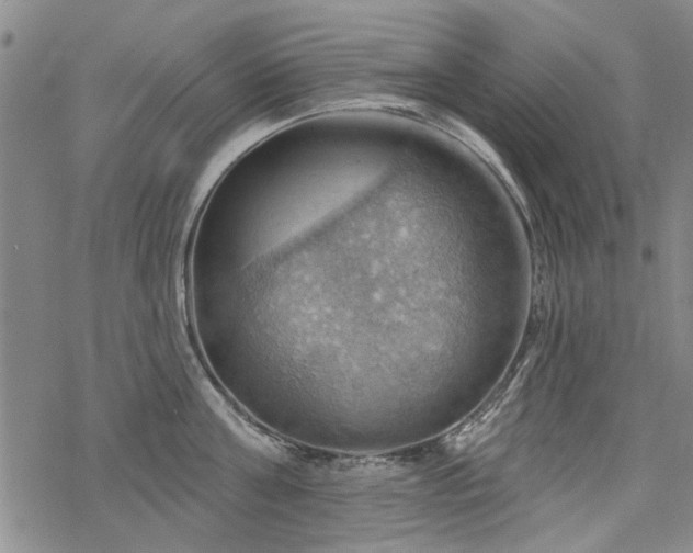 X0000068820811200605051209