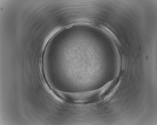 X0000068820812200605051209