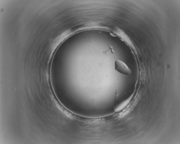 X0000068820813200605051209