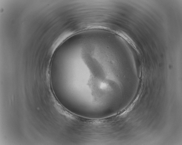 X0000068820814200605051209