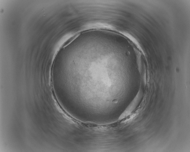 X0000068820815200605051209