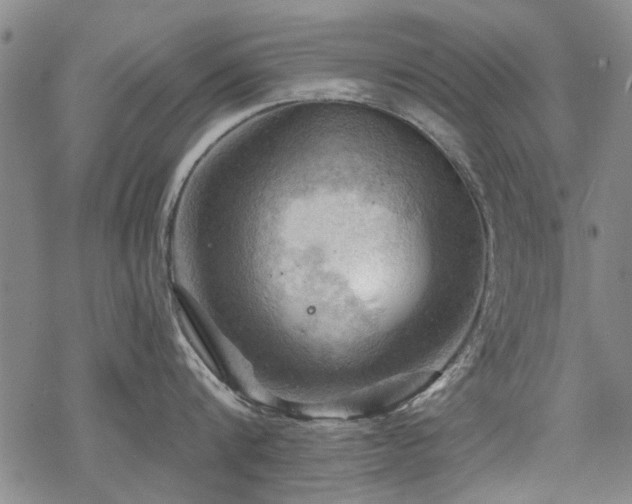 X0000068820816200605051209