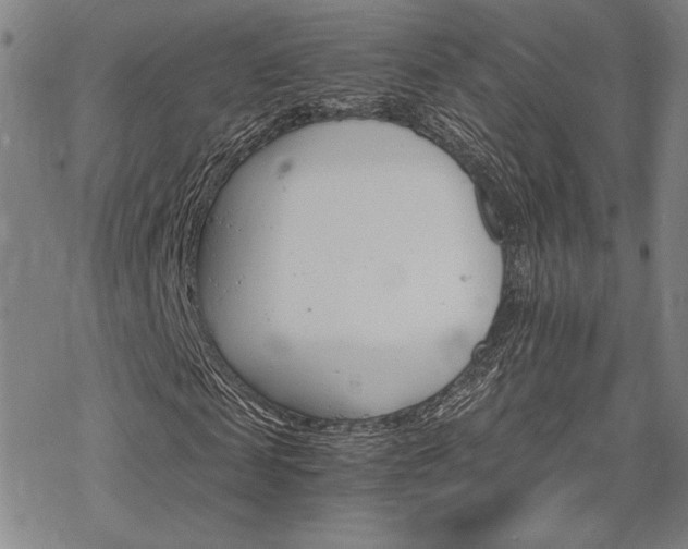 X0000068820817200605051208