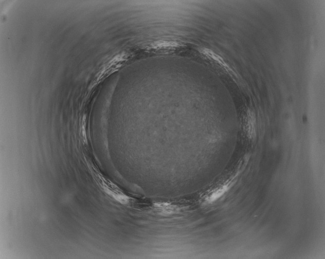 X0000068820818200605051208