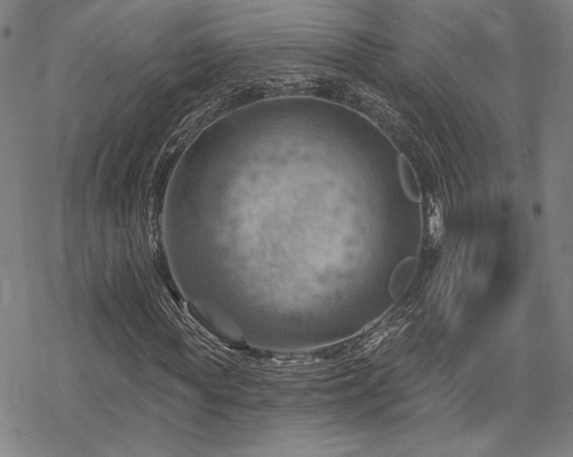 X0000068820819200605051208