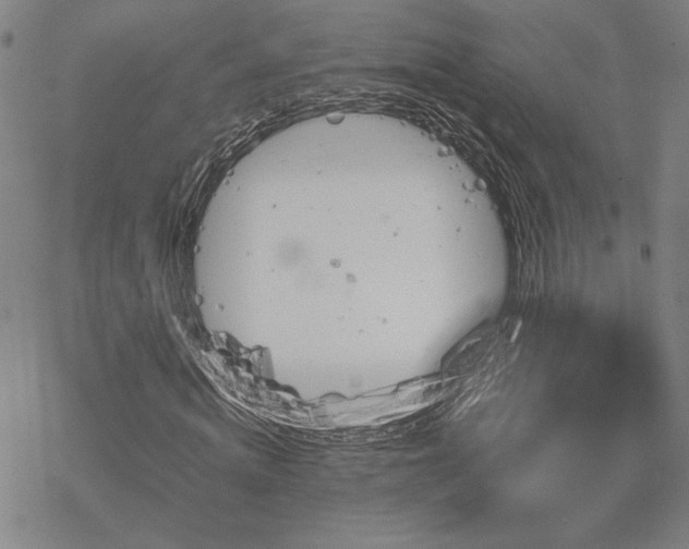 X0000068820820200605051208