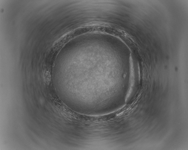 X0000068820821200605051208