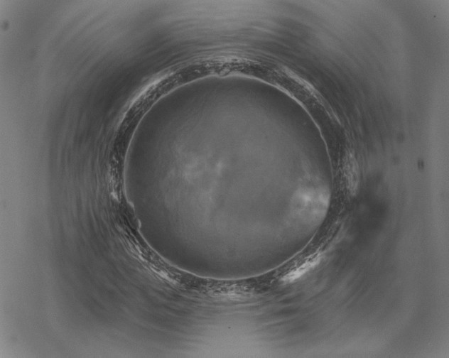 X0000068820823200605051208