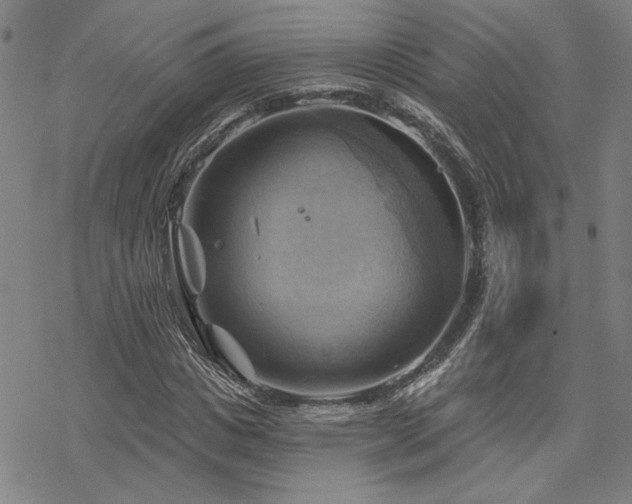 X0000068820825200605051208