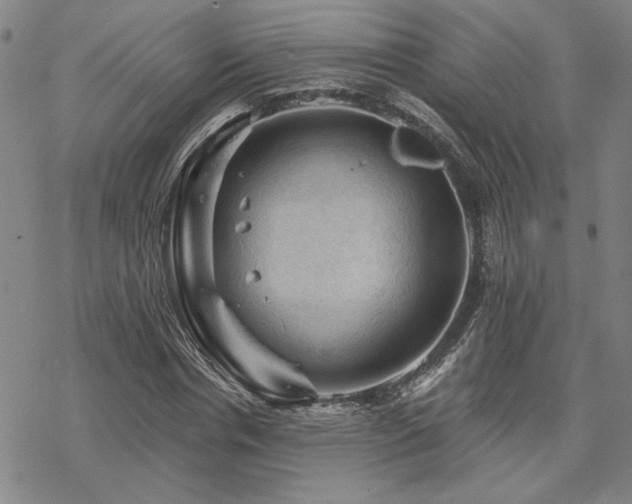 X0000068820826200605051208