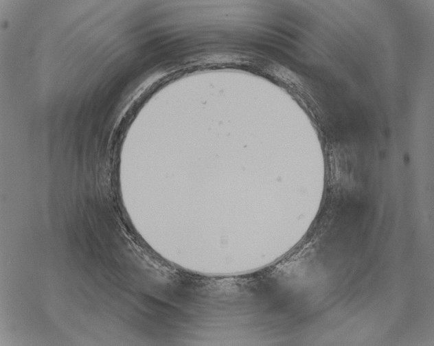 X0000068820828200605051208