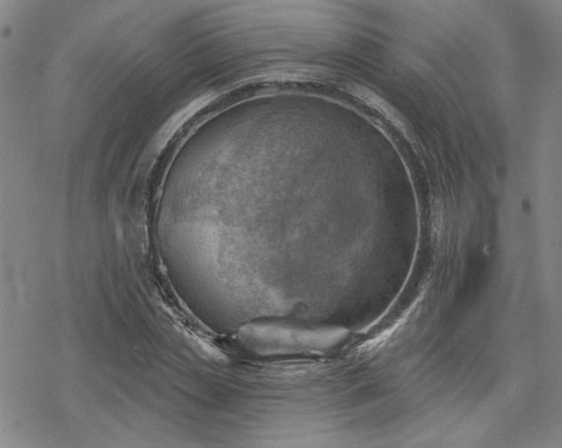 X0000068820829200605051208