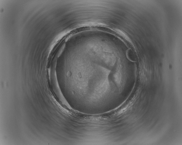 X0000068820831200605051208