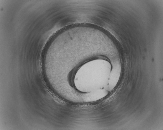 X0000068820832200605051208