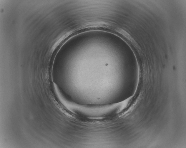 X0000068820834200605051208