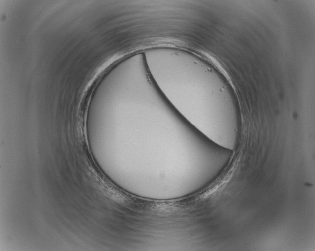 X0000068820835200605051208