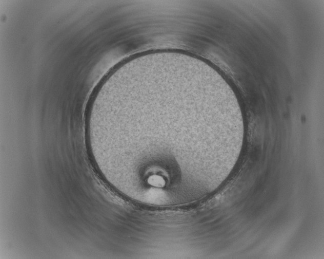 X0000068820836200605051208