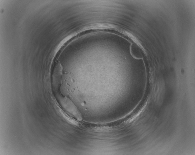 X0000068820837200605051208