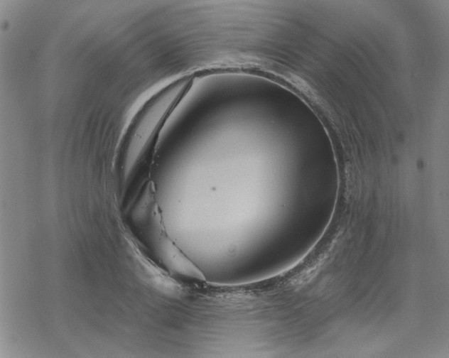 X0000068820838200605051208