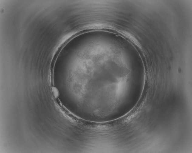 X0000068820839200605051208