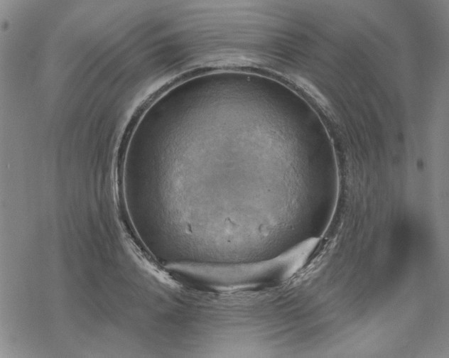 X0000068820840200605051208