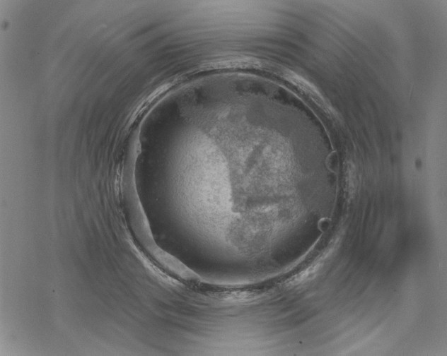 X0000068820841200605051208