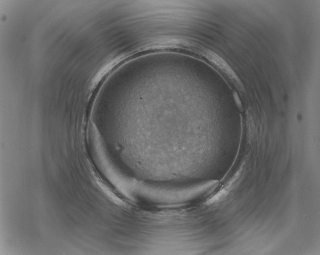 X0000068820842200605051208