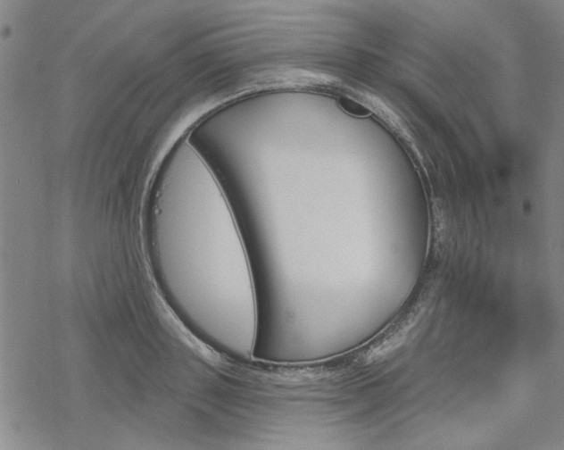 X0000068820843200605051208