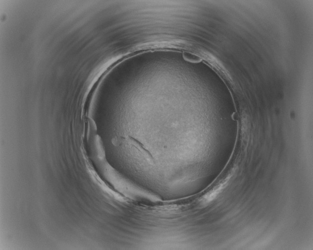 X0000068820844200605051208