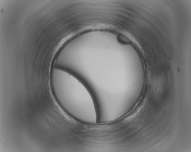 X0000068820845200605051208