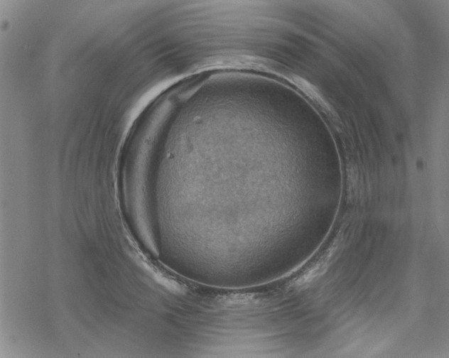 X0000068820846200605051208