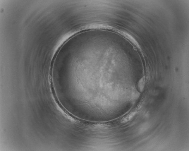 X0000068820847200605051208