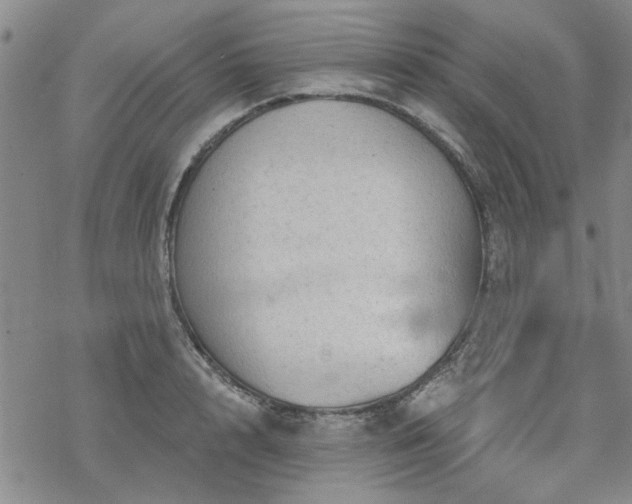 X0000068820848200605051208