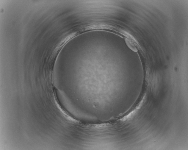 X0000068820849200605051208