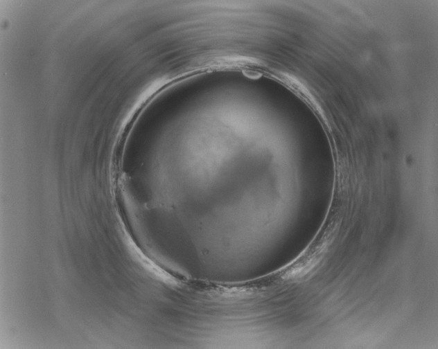 X0000068820851200605051208