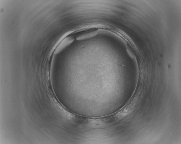 X0000068820852200605051209