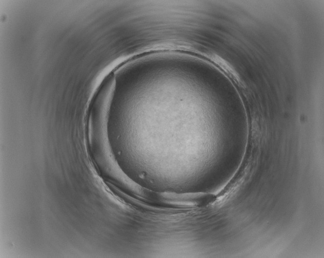 X0000068820854200605051209