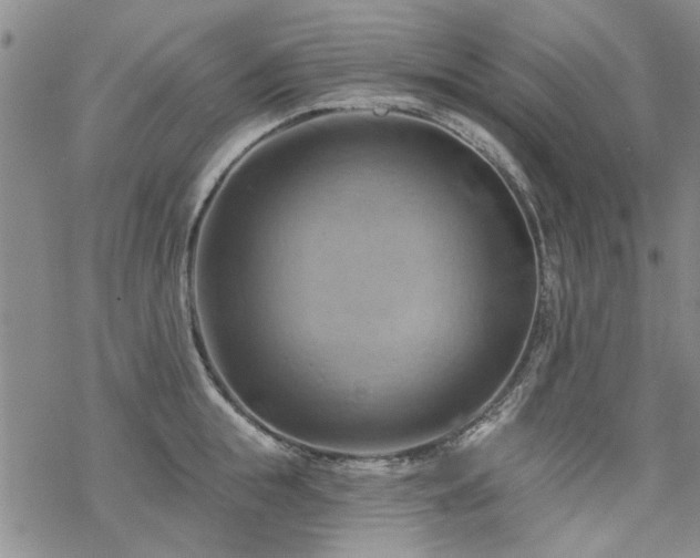 X0000068820855200605051209