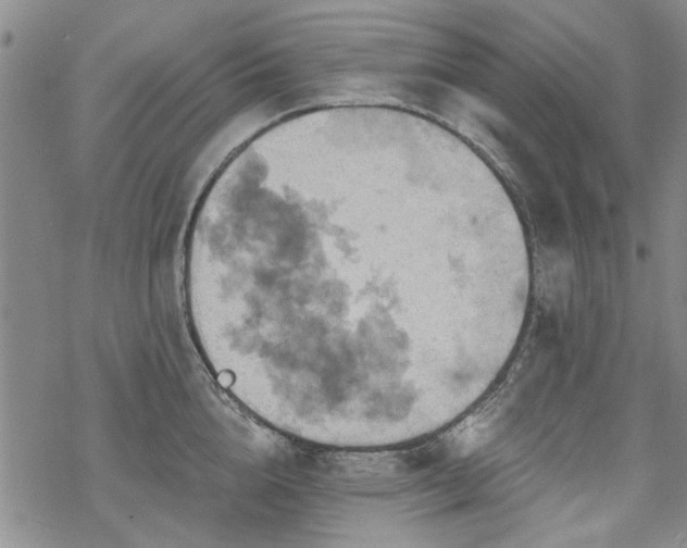 X0000068820856200605051209