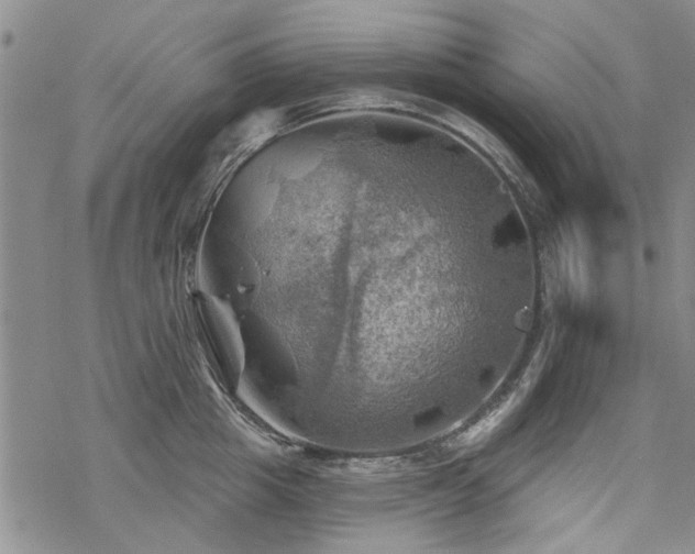 X0000068820857200605051209