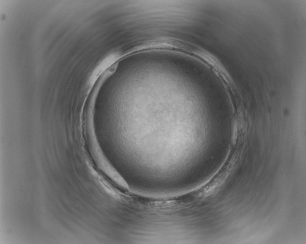 X0000068820858200605051209