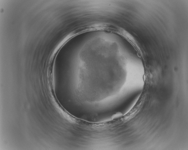 X0000068820859200605051209