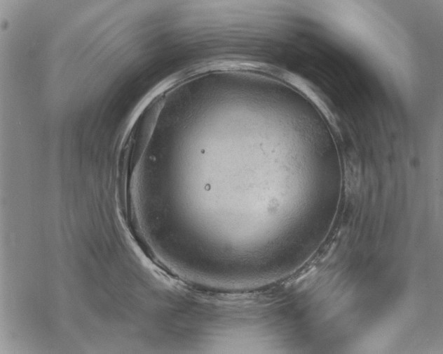 X0000068820861200605051209