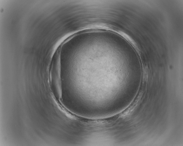 X0000068820862200605051209