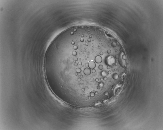 X0000068820863200605051209